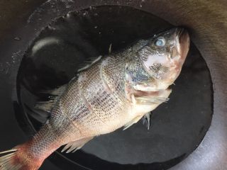 7、清蒸鲈鱼,鱼放入沸水中迅速过一下，去除腥味