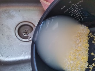 3、紫薯小米粥,小米和大米一起淘洗干净