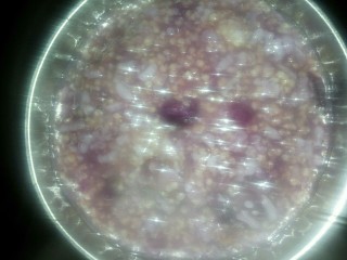 7、紫署小米粥,好了，看着是不是很有食欲