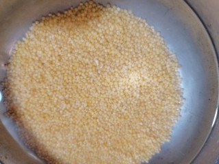 5、红豆小米粥,再用适量清水把它浸泡一个小时