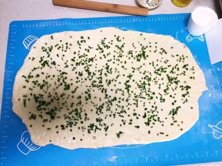 14、蓬松柔软的香葱花卷,撒均匀的上香葱末