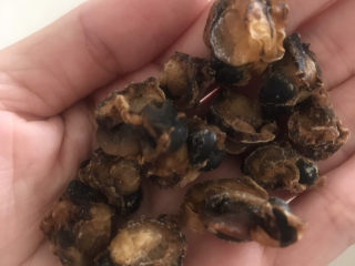 1、干贝海鲜粥,准备一些生蚝干