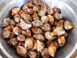 1、涝汁花螺,花螺是南方的美味在北方很难见到今天遇到新鲜的花螺就果断买回来准备把好吃的做起来花螺洗净备用