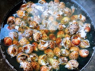 3、涝汁花螺,花螺不能煮至时间过长只要开锅即可关火即可