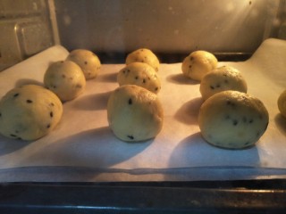 9、麻薯包,放入预热好的160度烤箱烤二十五分钟，烤箱温度根据自家的调节。