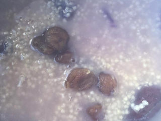 15、紫薯小米粥,加入桂圆搅匀开再煮一会儿。