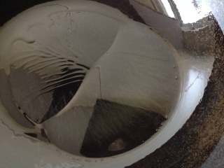 12、凉拌手撕杏鲍菇,锅中倒入适量油，中大火烧热