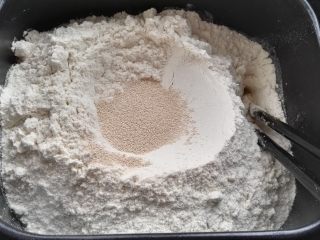 3、芝麻玉米面白糖饼,倒入冷水(230g)、面粉、酵母（量多又倒出揉的，可以直接倒大盆中和面）。