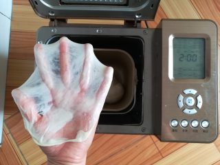 9、玫瑰鲜花饼,油皮揉面完成，顺手拉一个手套膜