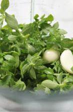 1、青酱意大利面,将罗勒叶、橄榄油、大蒜一同倒入搅拌机中打碎