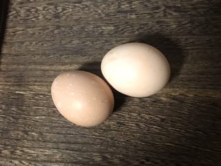 8、照烧鸡腿培根蛋炒饭,鸡蛋2个打散