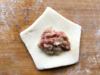 20、梅花蒸饺,取一个饺子皮，把边翻上去。把饺子皮反过来，中间放上肉馅。