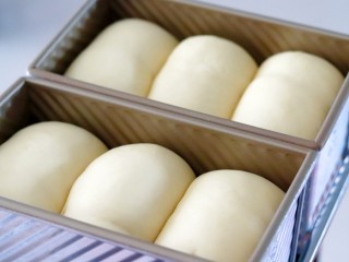 11、超绵软吐司（一次发酵）,放入吐司盒发酵至八九分满。