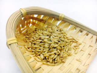 4、暖心暖胃 赤小豆莲子粥,燕麦