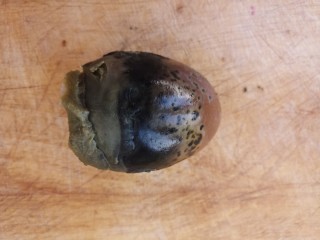 4、幸福早餐~皮蛋瘦肉粥,一个皮蛋