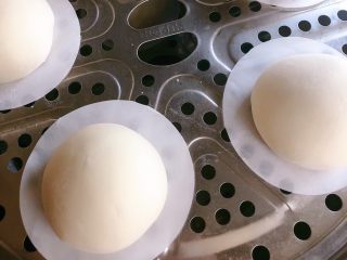 13、老面大碱馒头,全部做好，放蒸屉上盖盖发酵