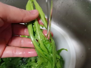 3、美味早餐《牛肉炒米线》,鸡毛菜一根一根清洗,才能够洗的干净。