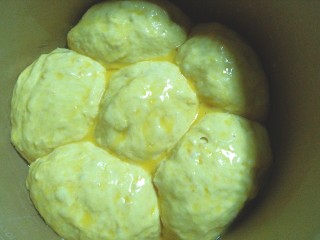 19、压力锅版红薯肉松面包,发酵好后刷上蛋液