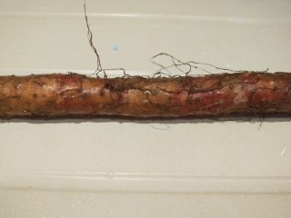 9、山药枸杞粥,铁杆山药一根。