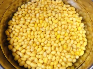 4、黄豆炖猪脚,黄豆洗净用温水浸泡12小时中途可以换水1-2次