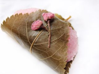 15、道明寺樱饼,把樱花放上去装饰下。