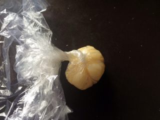 15、黄桃糯米糍,待面团充分冷却后，则可以开始包。面团比较粘，包的时候最好戴手套，但如果刚好家里没有了，也没有关系。用保鲜膜同样可以包的美美的，以下是方法：首先，用保鲜膜揪出适量的面团，然后捏成一个圆团，如图。