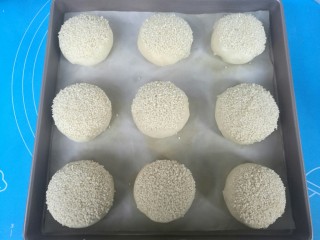 18、红糖烧饼,全部做好后，排列烤盘内。烤箱上下火200℃预热10分钟。