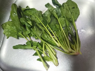 5、菠菜猪肝粥,菠菜清洗干净