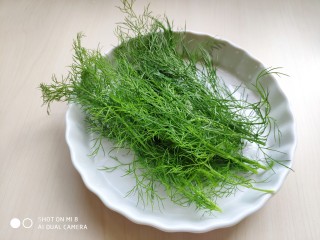 2、茴香小油条（不用手揉）,茴香择去茎秆，只需要茴香叶子，清洗干净。
