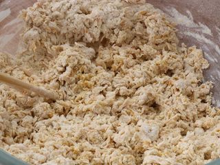 7、南瓜发面饼,搅成絮状