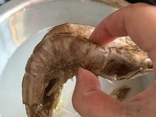 5、鲜虾砂锅粥,虾