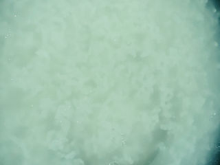 7、生滚牛肉粥,这是煮好的白粥；