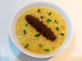 14、小米海参粥,把小米海参粥盛出来，撒上葱花即可~