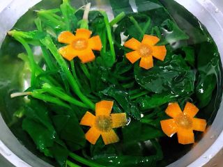 7、#冬日暖心菜#菠菜鸡蛋面,焯好水的菠菜、胡萝卜花立即放入冷水中过凉口感更佳