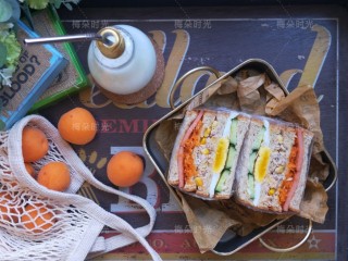 15、金枪鱼沙拉三明治,搭配牛奶,做早餐。超大份。超满足。????