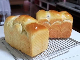 12、波兰种蔓越莓吐司面包,戴上隔热手套取出模具，趁热脱模，完美。～