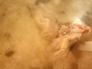 1、潮汕虾蟹排骨砂锅粥,大米洗净后和洗净的排骨放入锅中，加够水，大火煮开.