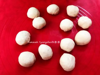 8、黑木耳肉末包子,然后切成大小均匀12等份的剂子，把每个剂子都滚上面粉，然后用保鲜袋盖住以免面团表面被风干，膜松弛10分钟，冬天室温松弛时间可能略延长5～10分钟