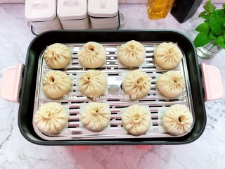 12、黑木耳肉末包子,把包好的包子放在多功能锅的蒸笼上，多功能锅此时可以加入水开小火微微加热，让整个锅体以及内部温热湿润，放的时候要留出空间来，以免发酵的时候包子都挤在一起了，多功能锅关火