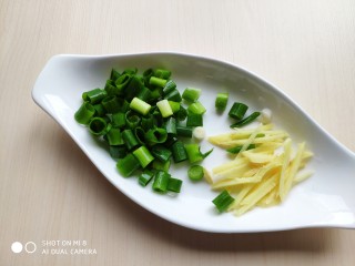 4、肉片番茄炒黄瓜,小葱切碎，姜切成姜丝。