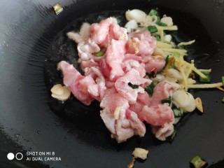 10、肉片番茄炒黄瓜,再加入葱姜和肉片翻炒。