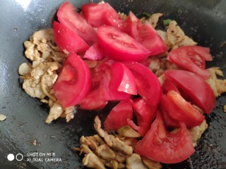 12、肉片番茄炒黄瓜,把番茄倒入锅里翻炒。