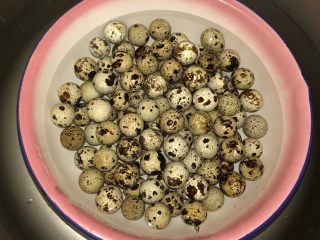 4、秘制茶香鹌鹑蛋,把鹌鹑蛋放入温水中，清洗干净