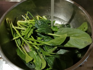 3、菠菜猪肝粥,菠菜择去老叶 清洗干净