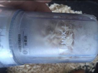 14、番茄丝瓜补钙粥,用研磨杯打碎 也可以用擀面杖擀成粉末状