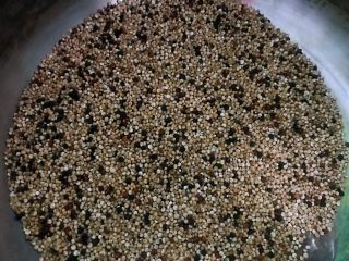 1、藜麦红枣粥,准备好藜麦。