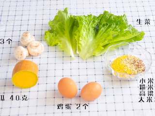 1、蛋黄蔬菜粥,食材：小米10克，糙米10克，高粱10克，大米30克 ，鸡蛋 2个，南瓜 40克，生菜 30克