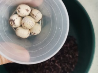 3、红豆紫米，杂粮粥,莲子