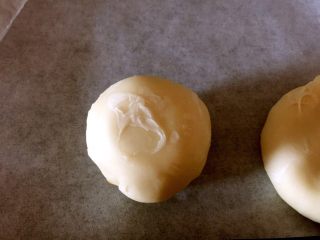 16、台湾绿豆椪,收口朝下