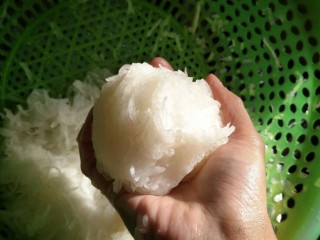 6、潮汕+广章,用双手用力再挤出白萝卜丝多余水份，也不要挤太干了，大概挤到预留2成水份